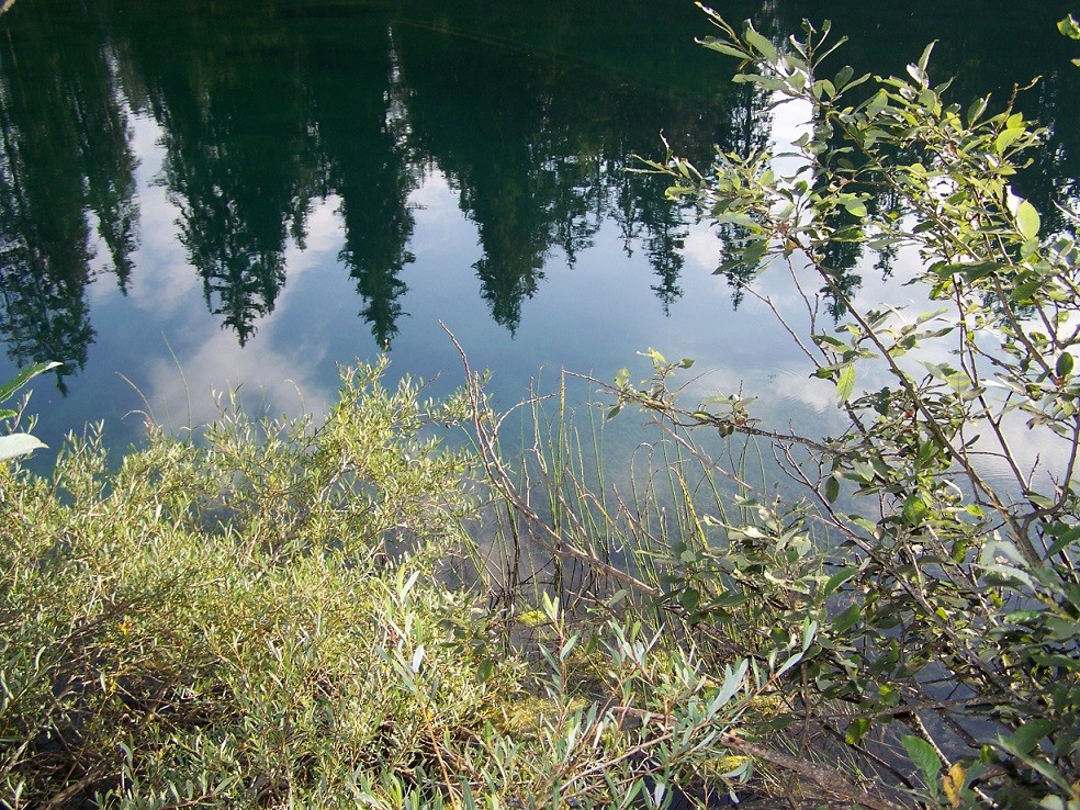Annecy et ses alentours