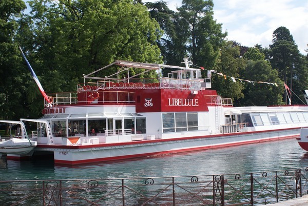 Libellule
