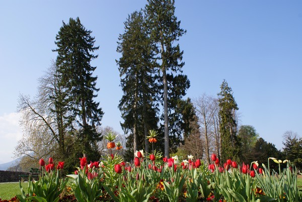 Parc imperial
